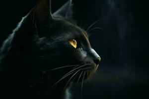 mysteriös schwarz Katze. generieren ai foto