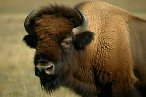 amerikanisch Bison. generieren ai foto