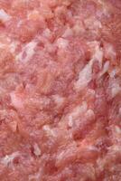 roh gehackt Rindfleisch, Schweinefleisch oder Hähnchen Fleisch mit Salz, Gewürze und Kräuter foto