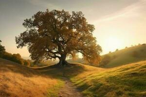 Landschaft Eiche Baum Sonnenuntergang. generieren ai foto