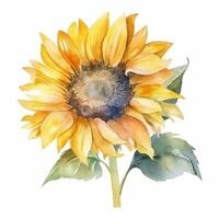 Aquarell Sonnenblume isoliert. Illustration ai generativ foto