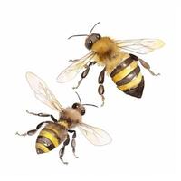 Aquarell Honig Biene. Illustration ai generativ foto