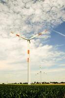 ein Feld mit Windmühle foto