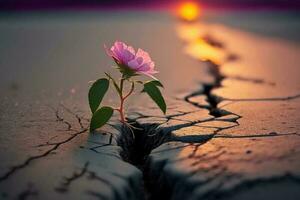 schließen hoch, Rosa Blume wachsend auf Riss Straße Sonnenuntergang Hintergrund ai generiert foto
