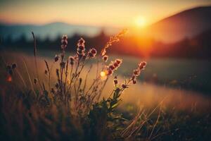 wild Gras im das Berge beim Sonnenuntergang. Makro Bild, flach Tiefe von Feld ai generiert foto