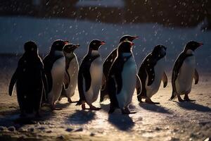 ein Gruppe von Pinguine beim das Süd Pole, generativ ai foto