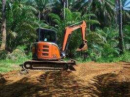 kuaro Kalimantan Timur, Indonesien 28 April 2023. schwer Bagger graben Boden im Öl Palme Plantage foto