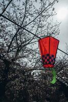 Kirsche Blüten und Laternen im das Park im Frühling. foto