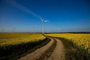 Landschaft mit ein Feld von Gelb vergewaltigen mit ein Blau wolkenlos Himmel und ökologisch Wind Bauernhöfe foto