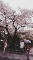 kyoto, japan am 8. april 2019. menschen gehen mit regenschirmen spazieren, weil es regnet. foto