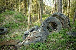 alt groß Fahrzeug Reifen links verlassen im Grün Frühling Wald auf sonnig Tag foto
