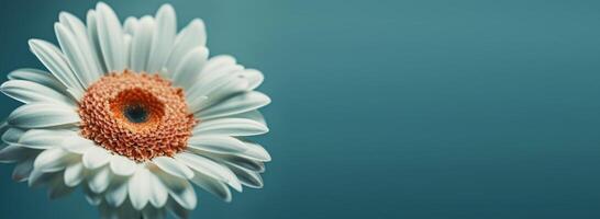 Blume schließen oben Foto Hintergrund. mit Kopieren Raum. generativ ai