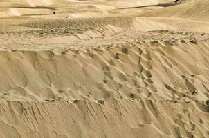 Sanddünen am Meer foto