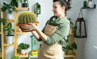 groß Echinocactus gruzoni im das Hände von ein Frau im das Innere von ein Grün Haus mit Regale Sammlungen von inländisch Pflanzen. Zuhause Ernte Produktion, Pflanze Züchter bewundern ein Kaktus im ein Topf foto