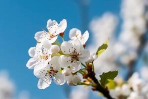 schön Kirsche blühen im Frühling erstellt mit generativ ai Technologie. foto