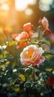 schön und bunt verträumt Rose Garten mit warm Beleuchtung. generativ ai. foto