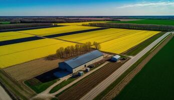 generativ ai, Bauernhof Landschaft, landwirtschaftlich Weizen Felder, schön Landschaft, Land Straße. Natur Illustration, fotorealistisch oben Aussicht Drohne, horizontal Banner. foto