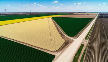 generativ ai, Bauernhof Landschaft, landwirtschaftlich Weizen Felder, schön Landschaft, Land Straße. Natur Illustration, fotorealistisch oben Aussicht Drohne, horizontal Banner. foto