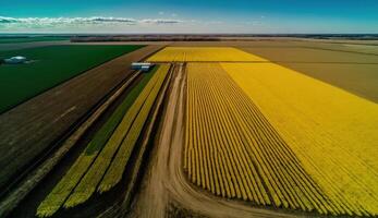 generativ ai, Bauernhof Landschaft, landwirtschaftlich Weizen Felder, schön Landschaft, Land Straße. Natur Illustration, fotorealistisch oben Aussicht Drohne, horizontal Banner. foto