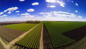 generativ ai, Bauernhof Landschaft, landwirtschaftlich Weizen Felder, schön Landschaft, Land Straße. Natur Illustration, fotorealistisch oben Aussicht Drohne, horizontal Banner. foto