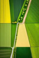 generativ ai, Bauernhof Landschaft, landwirtschaftlich Felder, schön Landschaft, Land Straße. Natur Illustration, fotorealistisch oben Aussicht Drohne, Vertikale Format foto