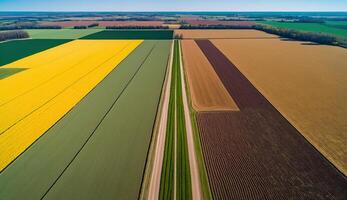 generativ ai, Bauernhof Landschaft, landwirtschaftlich Weizen Felder, schön Landschaft, Land Straße. Natur Illustration, fotorealistisch oben Aussicht Drohne, horizontal Banner. foto