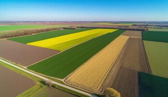 generativ ai, Bauernhof Landschaft, landwirtschaftlich Weizen Felder, schön Landschaft, Land Straße. Natur Illustration, fotorealistisch oben Aussicht Drohne, horizontal Banner. foto