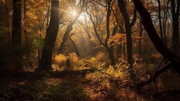 verwirrend Szene von ein sammeln Zeit Waldland mit Sonnenstrahlen eintreten durch das Geäst. ai generiert foto