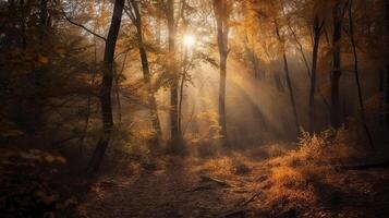 verwirrend Szene von ein sammeln Zeit Waldland mit Sonnenstrahlen eintreten durch das Geäst. ai generiert foto