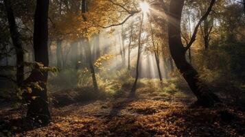 verwirrend Szene von ein sammeln Zeit Waldland mit Sonnenstrahlen eintreten durch das Geäst. ai generiert foto