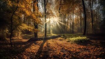 verwirrend Szene von ein sammeln Zeit Waldland mit Sonnenstrahlen eintreten durch das Geäst. ai generiert foto