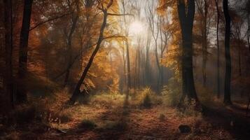 verwirrend Szene von ein sammeln Zeit Waldland mit Sonnenstrahlen eintreten durch das Geäst. ai generiert foto