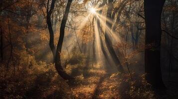 verwirrend Szene von ein sammeln Zeit Waldland mit Sonnenstrahlen eintreten durch das Geäst. ai generiert foto