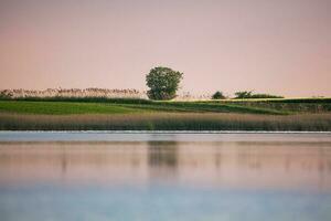 Aussicht von ein nebelig See foto