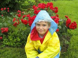 Porträt von ein Junge im ein farbig Regenjacke mit ein Kapuze unter rot Rosen foto