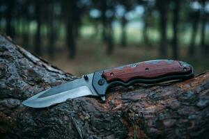 taktisch Messer Überleben und Schutz schwierig Bedingungen, Lügen Kofferraum Baum im Wald. foto