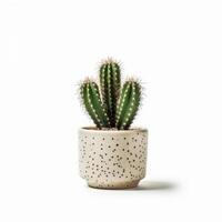 Kaktus isoliert. Illustration ai generativ foto