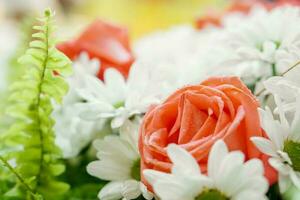 Nahansicht Rosa Rosen und wenig Weiß Blumen mit Farn auf verschwommen Hintergrund. foto