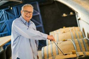 Porträt von Senior Mann Wer besitzt Weingut. er ist Prüfung Qualität im seine Wein Keller. Industrie Wein Herstellung Konzept. foto