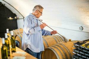 Porträt von Senior Mann Wer besitzt Weingut. er ist Prüfung Qualität im seine Wein Keller. Industrie Wein Herstellung Konzept. foto