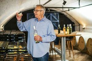 Porträt von Senior Mann Wer besitzt Weingut. er ist Prüfung Qualität im seine Wein Keller. Industrie Wein Herstellung Konzept. foto