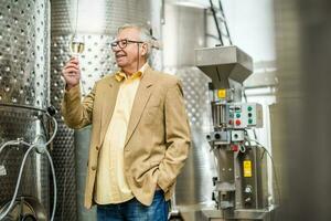 glücklich Senior Mann Wer besitzt ein Weingut. Industrie Wein Herstellung Konzept. foto