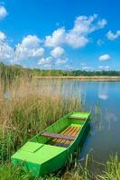 deliblat See Landschaft foto