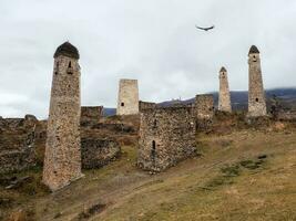 Schlacht Türme erzi im das jeyrah Schlucht. mittelalterlich Turm Komplex Erzi, einer von das größten mittelalterlich Schlosstyp Turm Dörfer, gelegen auf das Extremität von das Berg Angebot im Inguschetien, Russland. foto