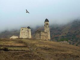 Schlacht Türme erzi im das jeyrah Schlucht. mittelalterlich Turm Komplex Erzi, einer von das größten mittelalterlich Schlosstyp Turm Dörfer, gelegen auf das Extremität von das Berg Angebot im Inguschetien, Russland. foto