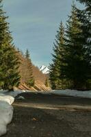 Berg, Baum, Schnee Frühling Foto von Slowakei, liptov 10.04.2023