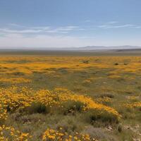 ein einfach Feld mit wild Blumen im blühen ai generiert foto