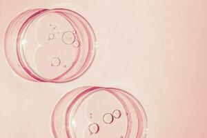 Petri Gericht. petris Tasse mit flüssig. chemisch Elemente, Öl, Kosmetika. Gel, Wasser, Moleküle, Viren. Nahansicht. auf ein Rosa Hintergrund. foto