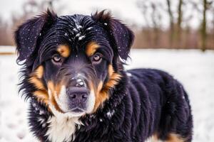 Porträt von ein schön Hund Stehen im das Park. generativ ai foto