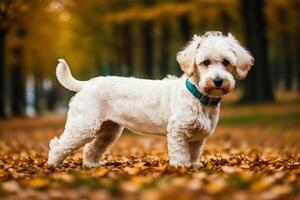 Porträt von ein schön Hund Stehen im das Park. generativ ai foto